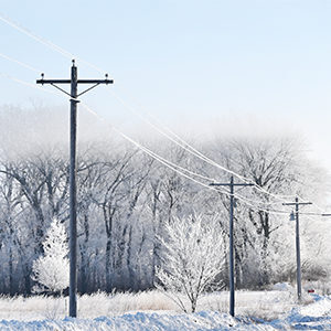 winter-powerlines